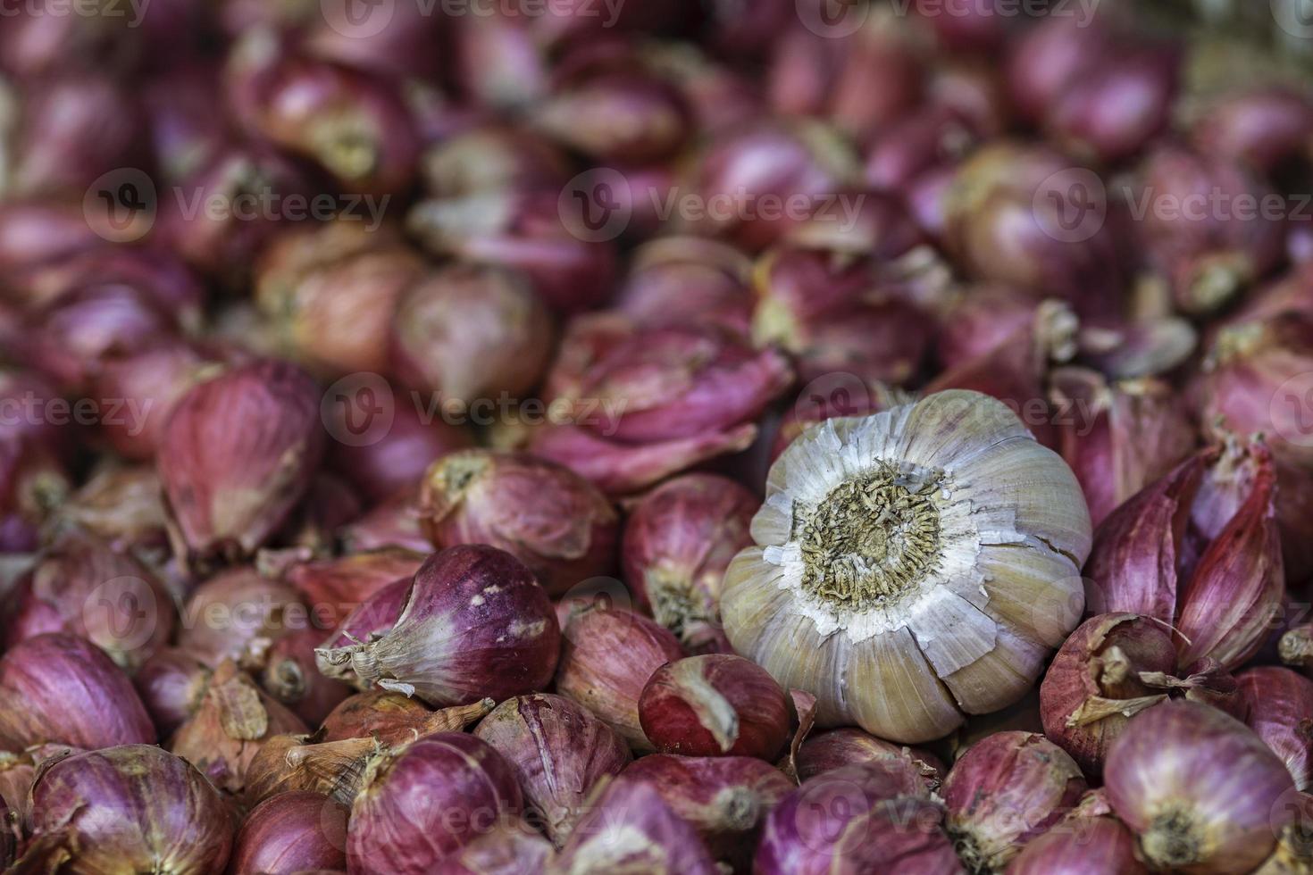 Garlic and onions photo