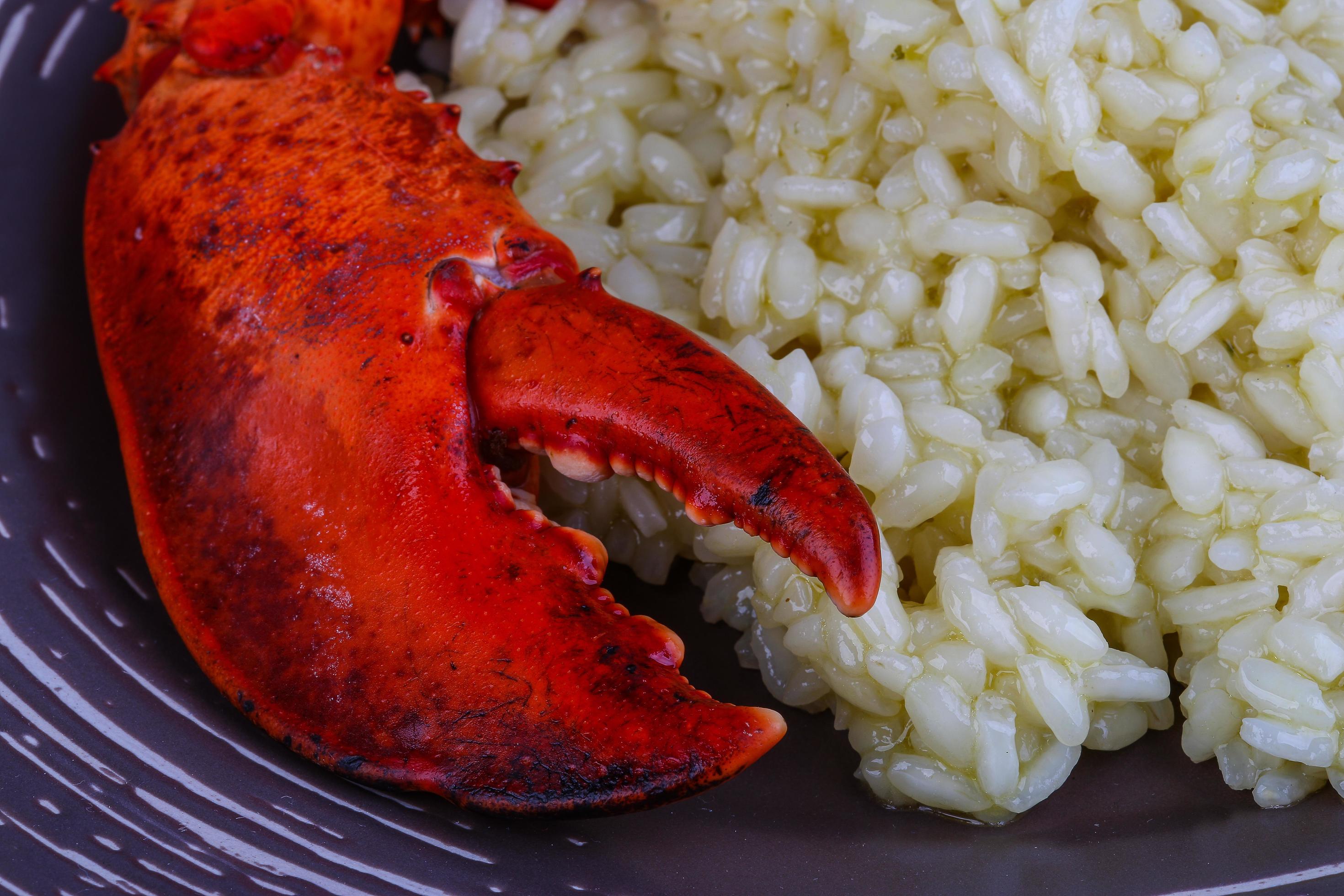 Risotto with lobster 12265912 Stock Photo at Vecteezy