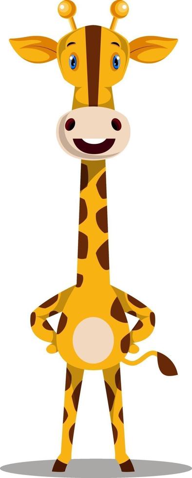 Giraffe standing, illustration, vector on white background.