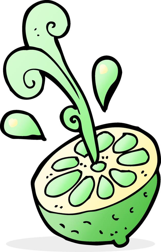 cartoon fresh lime vector