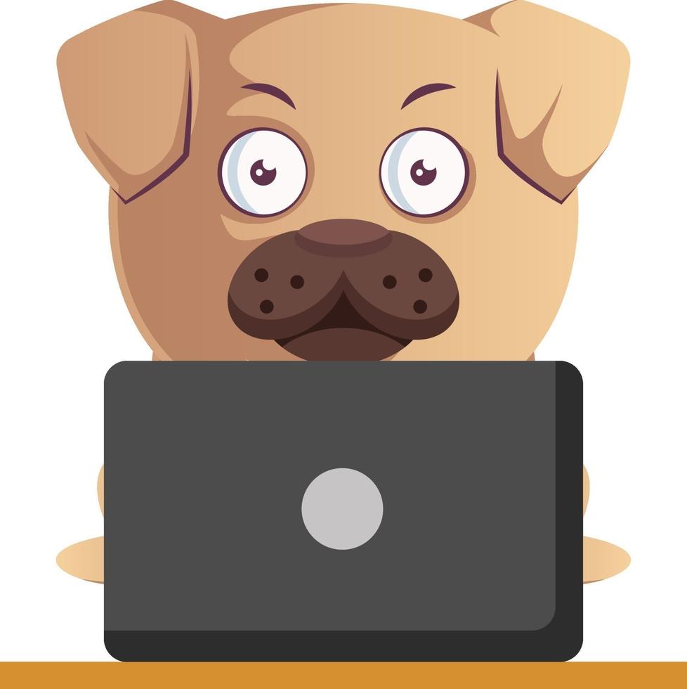 Pug on laptop, illustration, vector on white background.