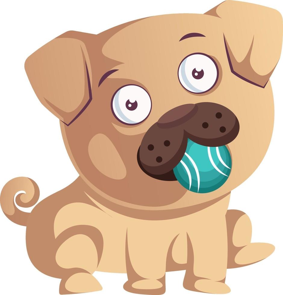 Pug is cute, illustration, vector on white background.