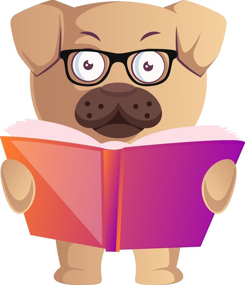 Pug con libro, ilustración, vector sobre fondo blanco.