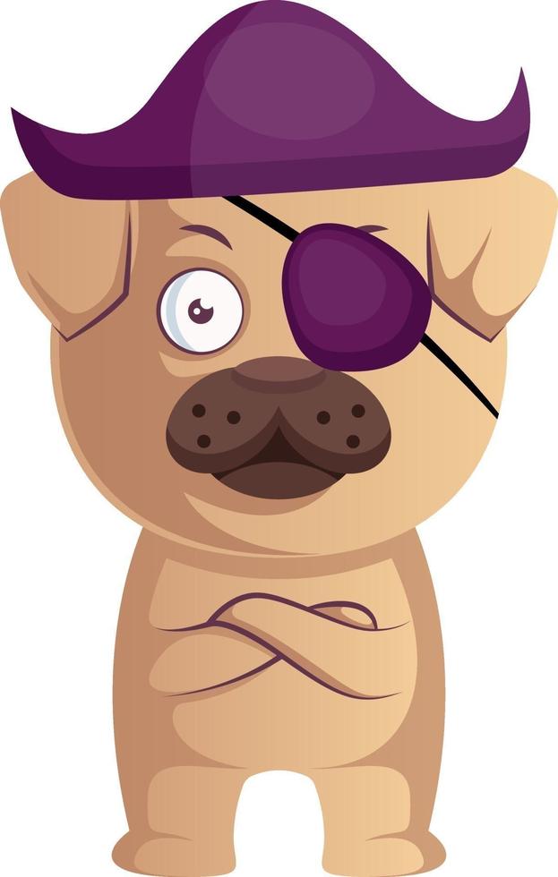 Pug is pirate, illustration, vector on white background.