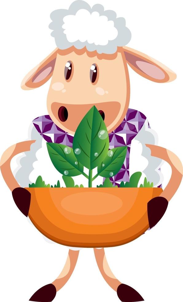 Ovejas con planta, ilustración, vector sobre fondo blanco.