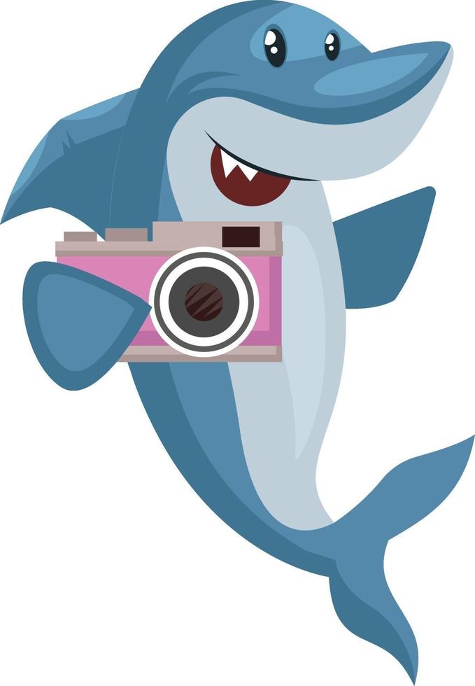 Shark with camera, illustration, vector on white background.