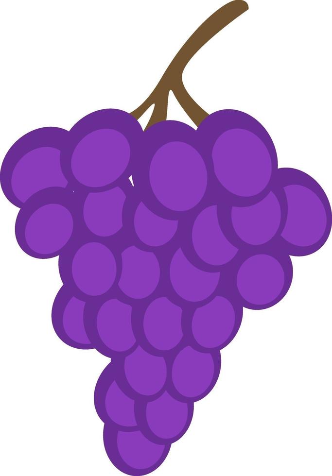 Uvas moradas, ilustración, vector sobre fondo blanco.