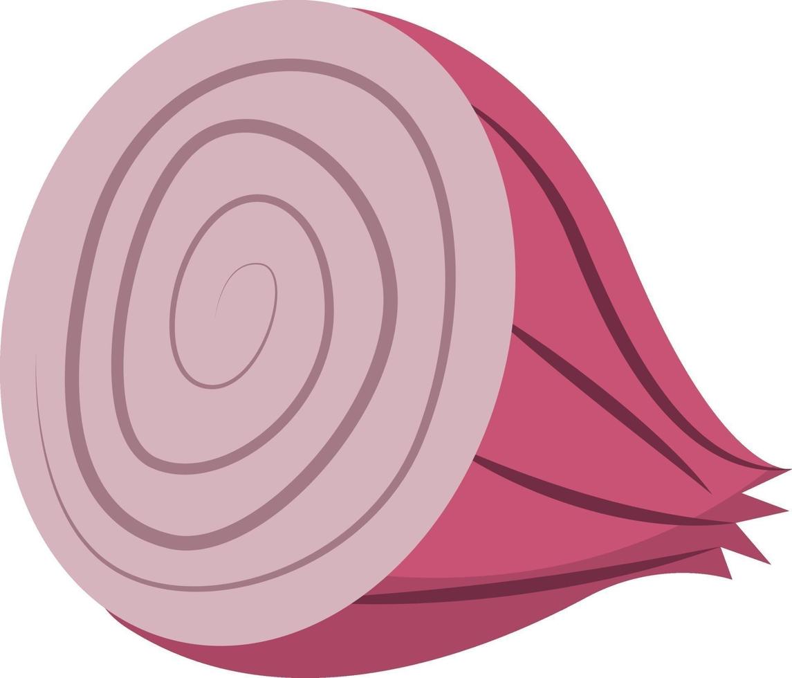 Onion in half, illustration, vector on white background