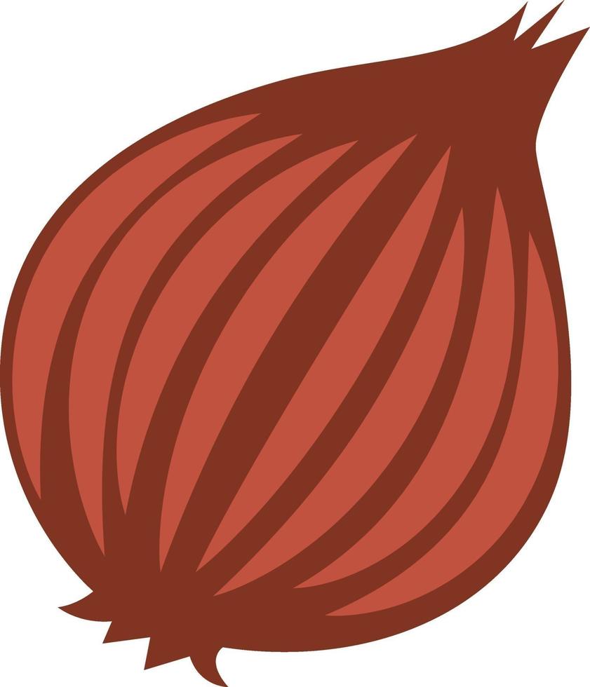 Onion, illustration, vector on white background