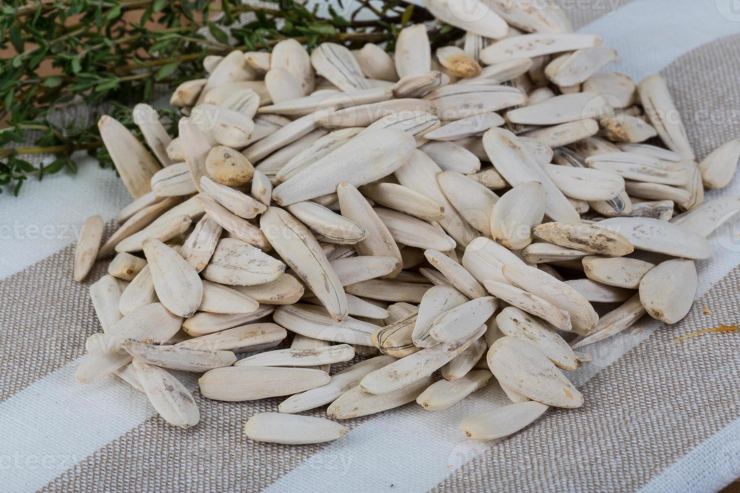 White sunflower seeds photo