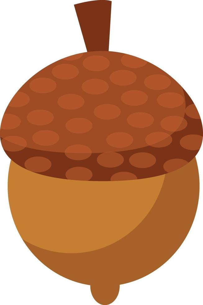 Small nut, illustration, vector on white background