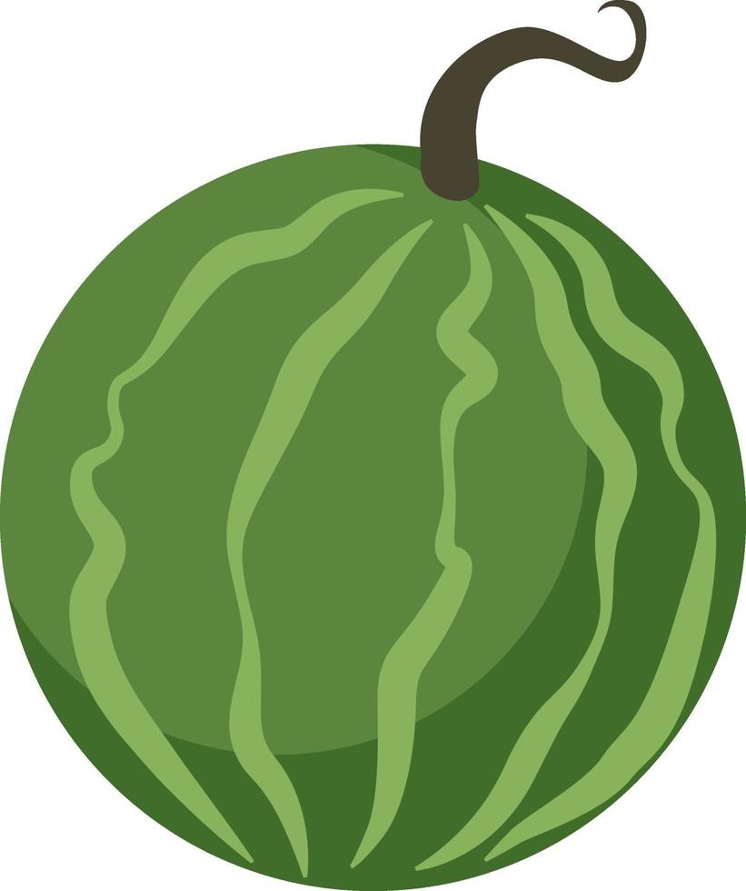 Watermelon, illustration, vector on white background