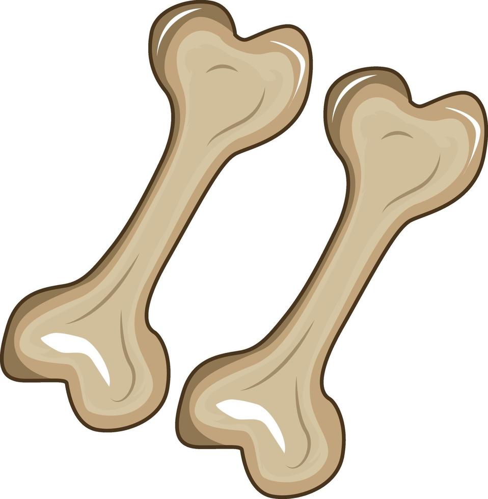 Two small bones, illustration, vector on a white background.