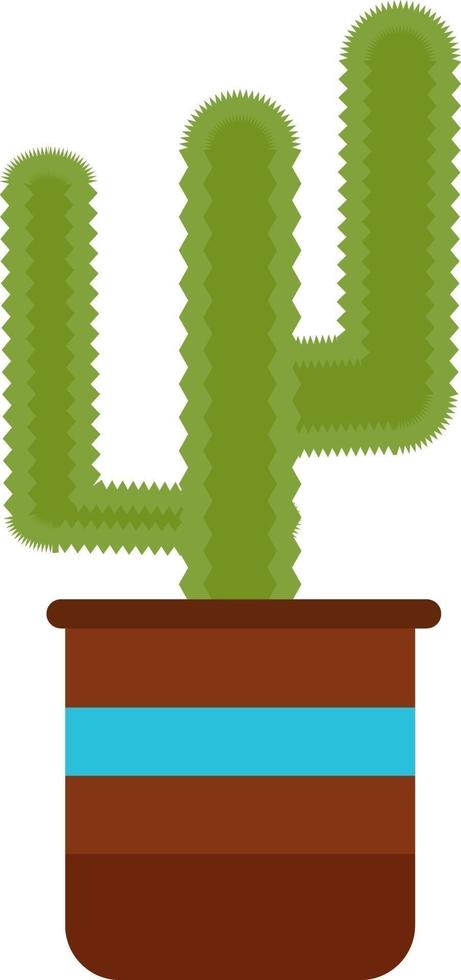 Cactus in a pot, illustration, vector on a white background.