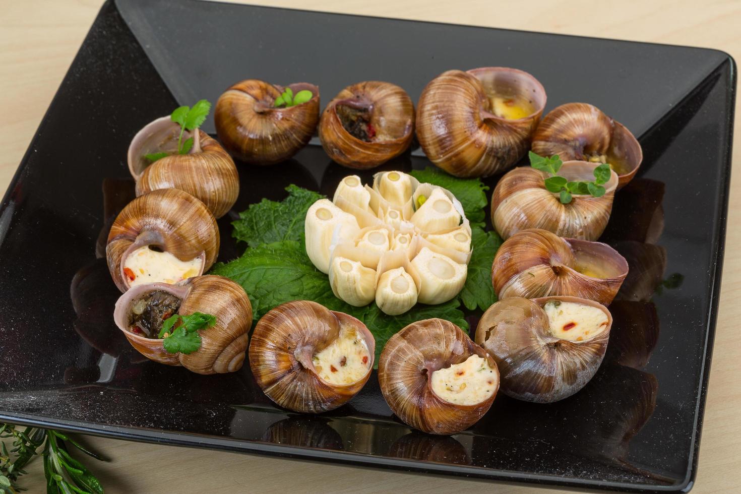 Escargot on the plate and wooden background photo