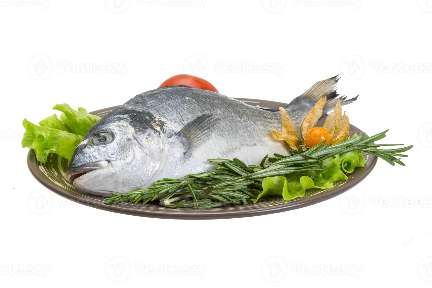 Raw dorado with herbs photo