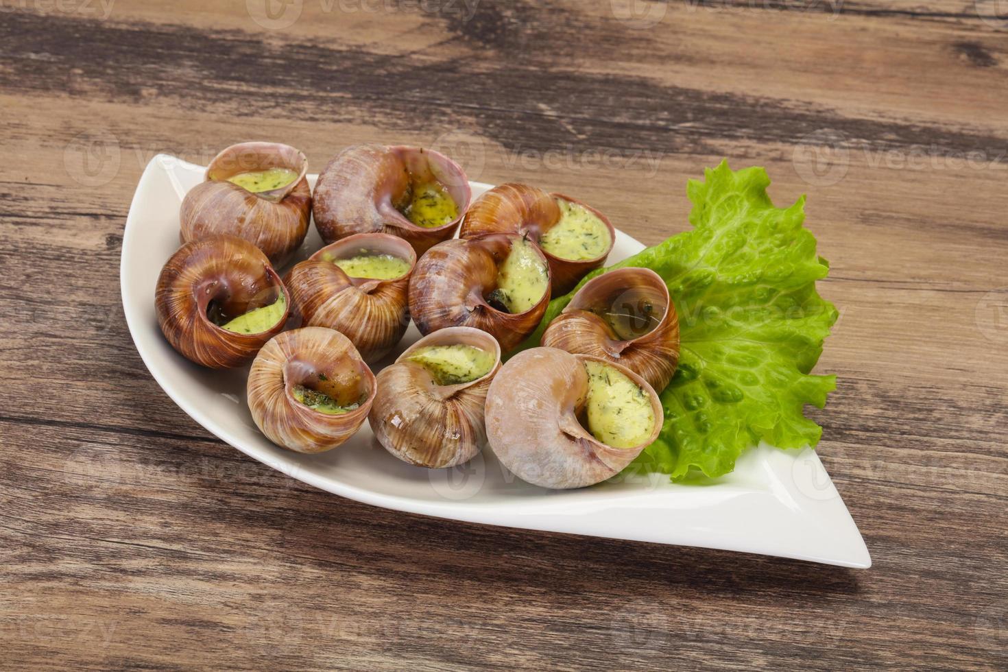 French cuisine - Escargot with sauce photo