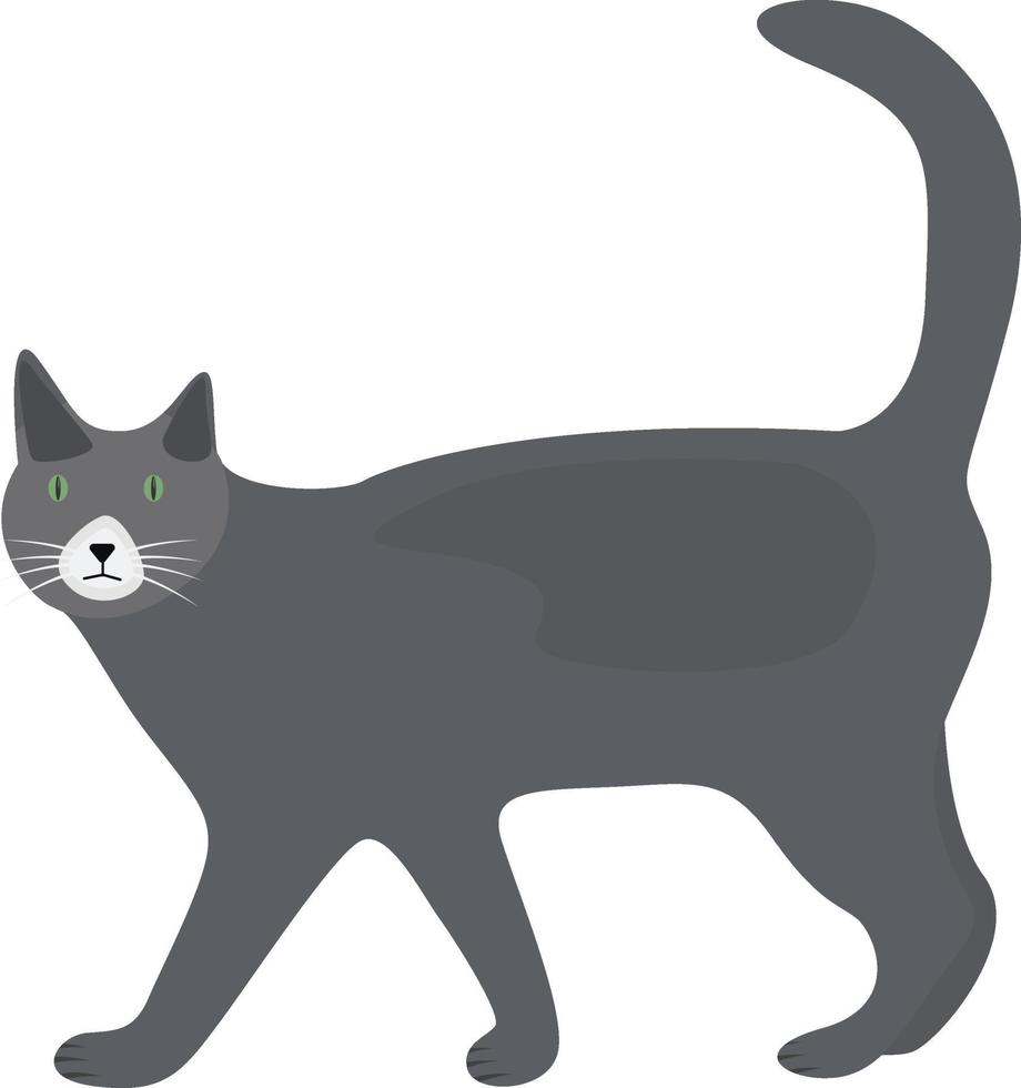 Grey cat, illustration, vector on a white background.