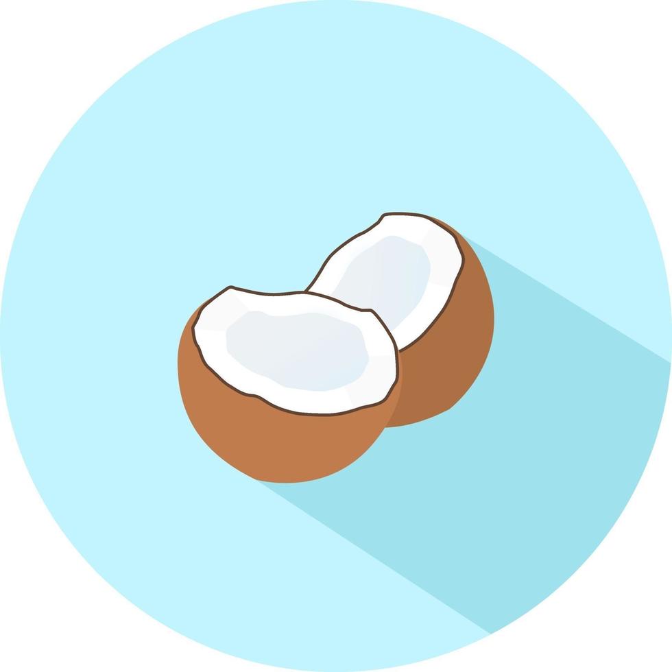 Coconut in half, illustration, vector on a white background.