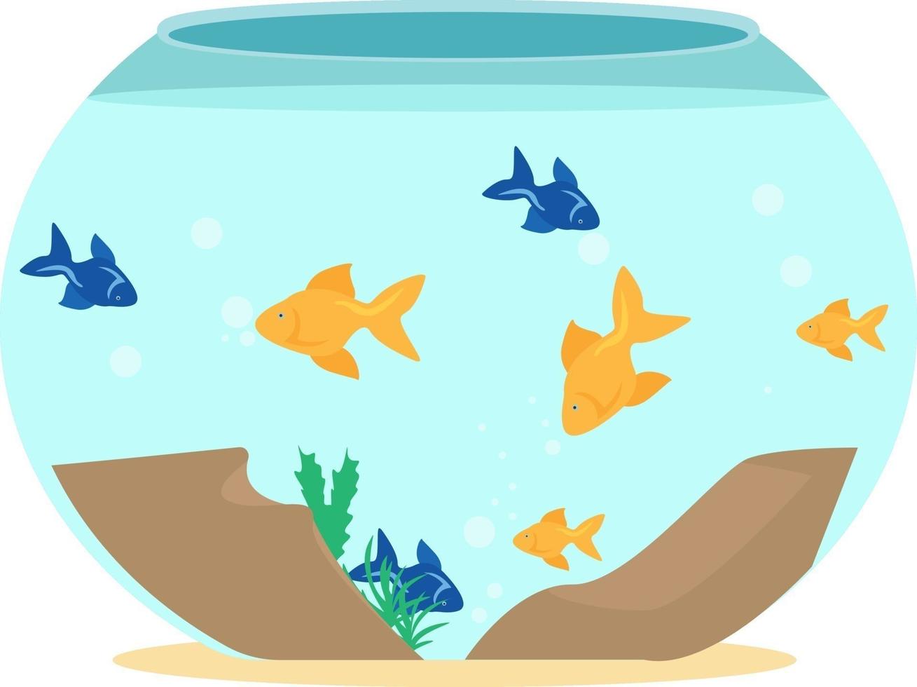 Fish tank, illustration, vector on a white background.