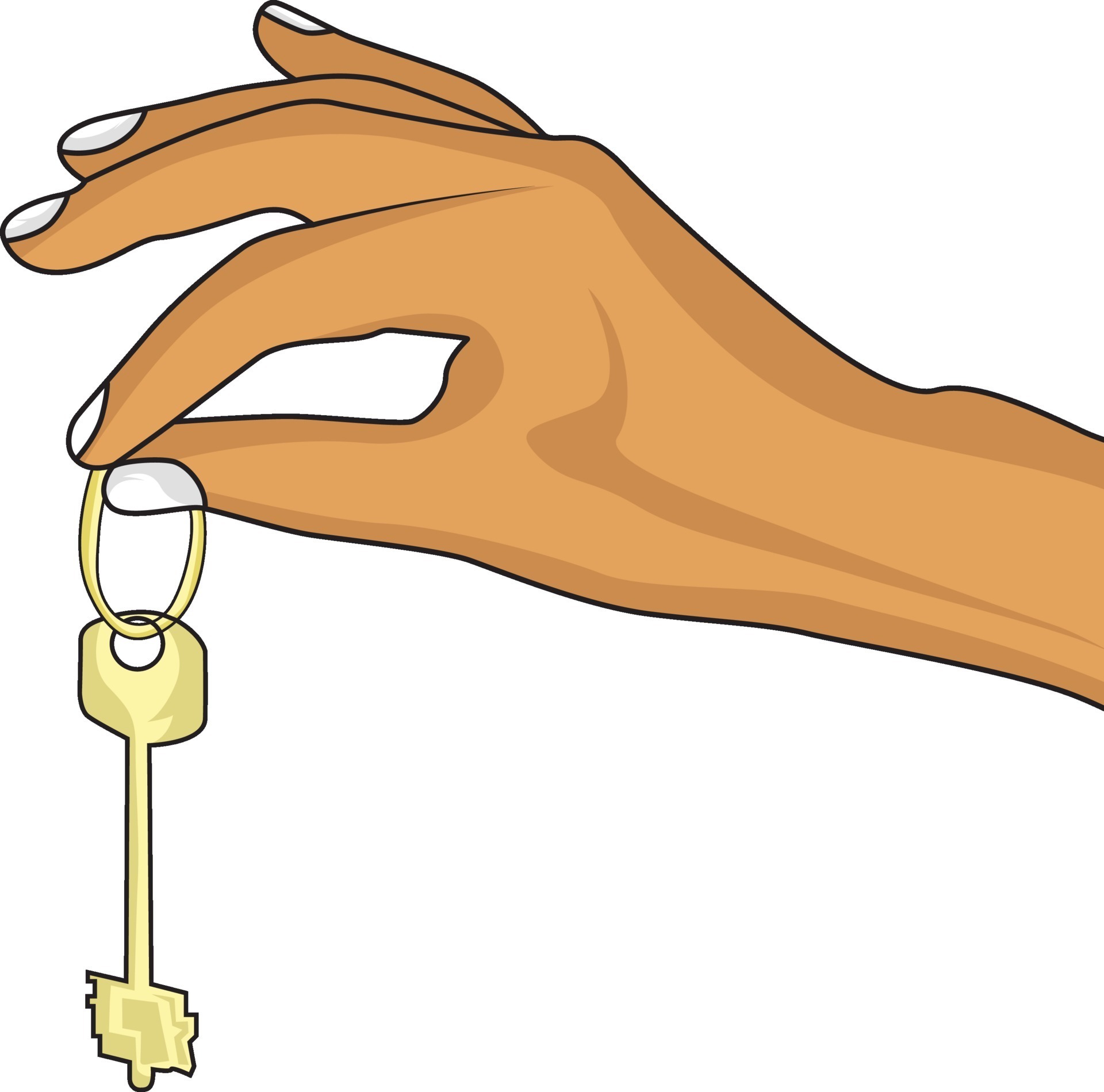 Hand holding key, illustration, vector on a white background. 12271492