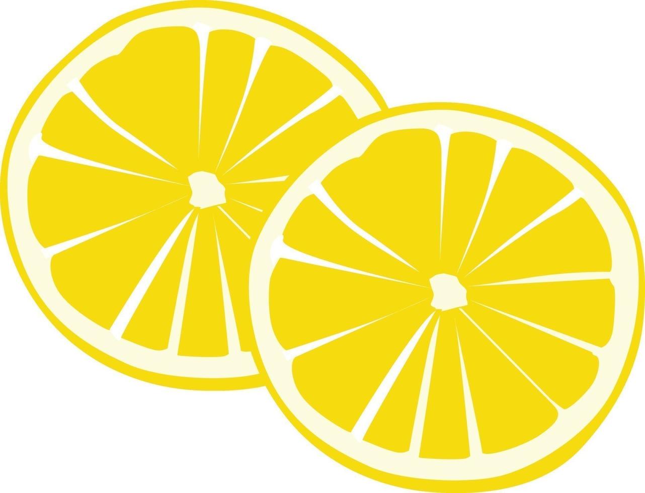 Lemons cut in slices, illustration, vector on a white background.