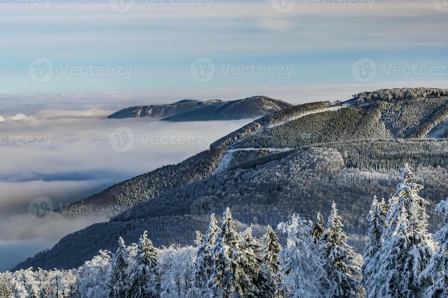 winter from mountain photo