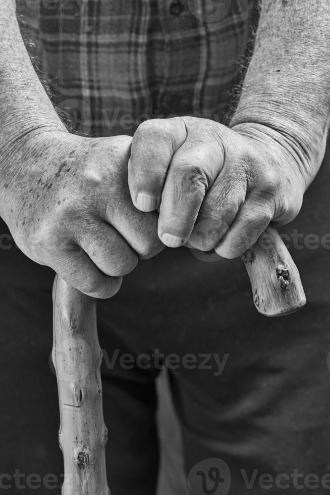 Hands and stick photo