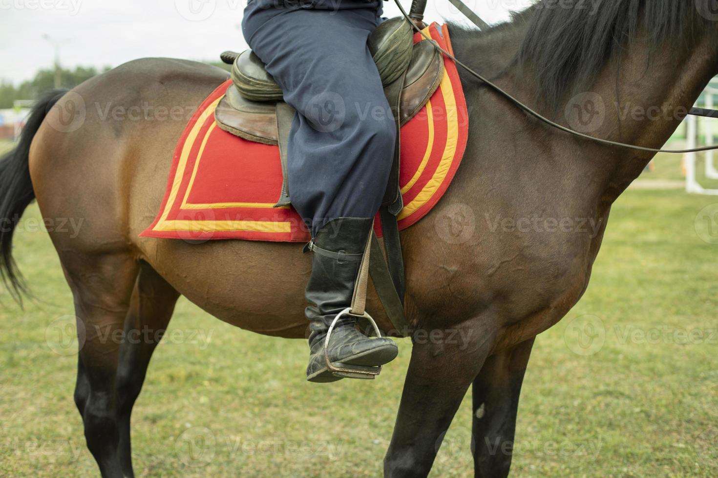 Rider rides horse. Man from Cossack Brotherhood. photo