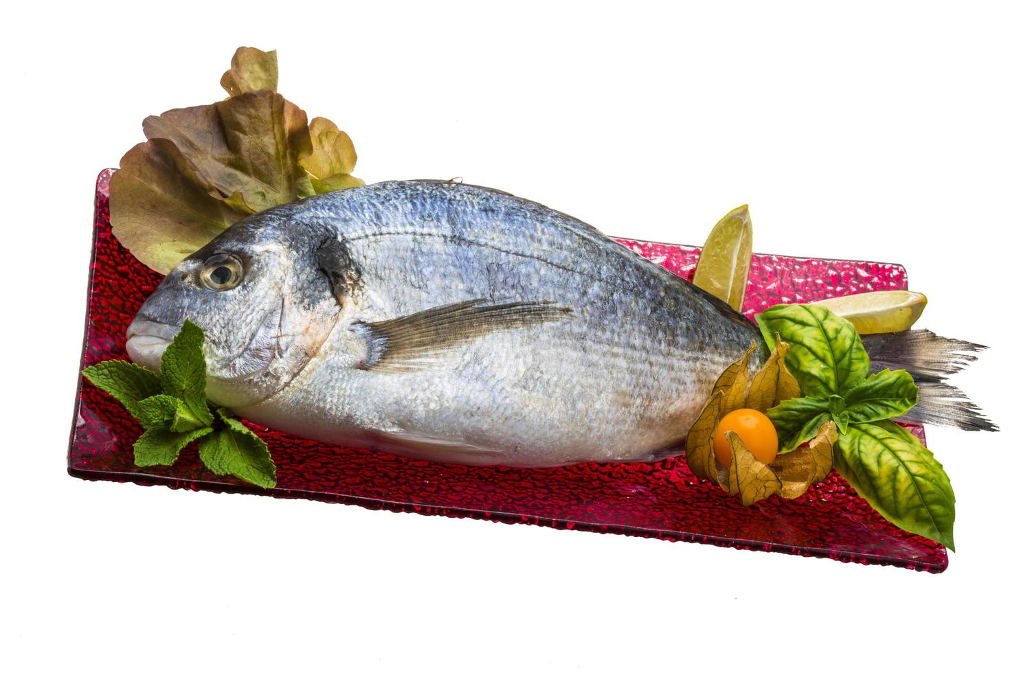 Fresh raw dorada photo
