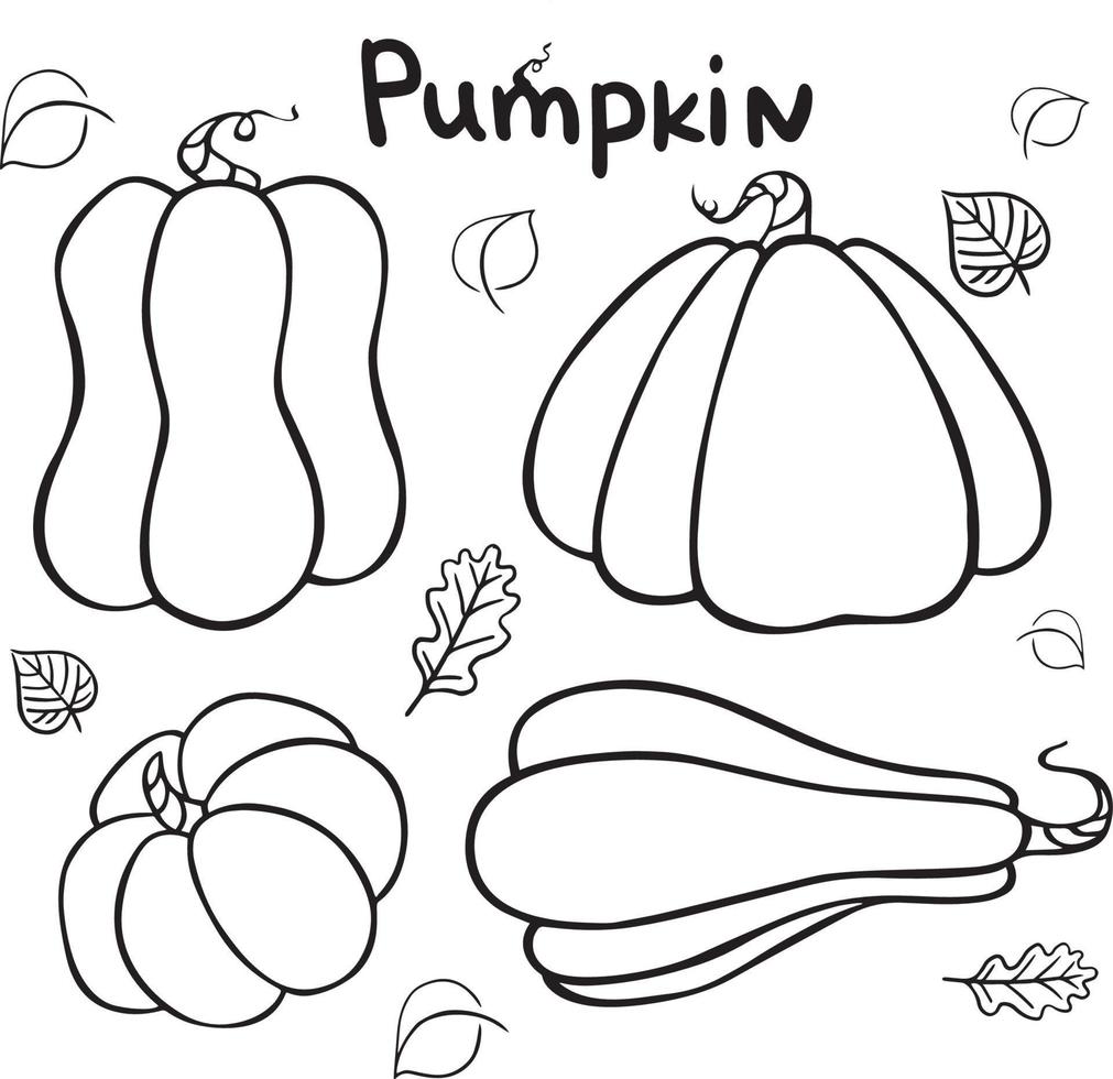 Pumpkin vegetable outline vector icon. Vector graphics