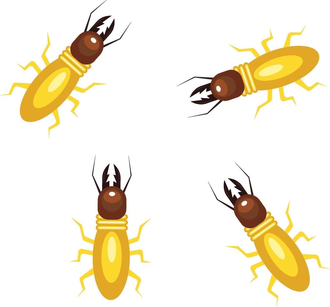 Small termites, illustration, vector on a white background.