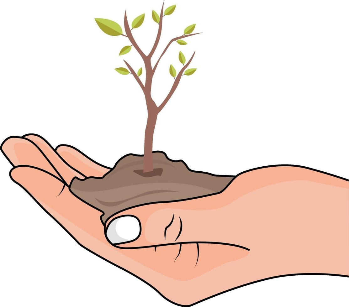Tree in a hand, illustration, vector on a white background.
