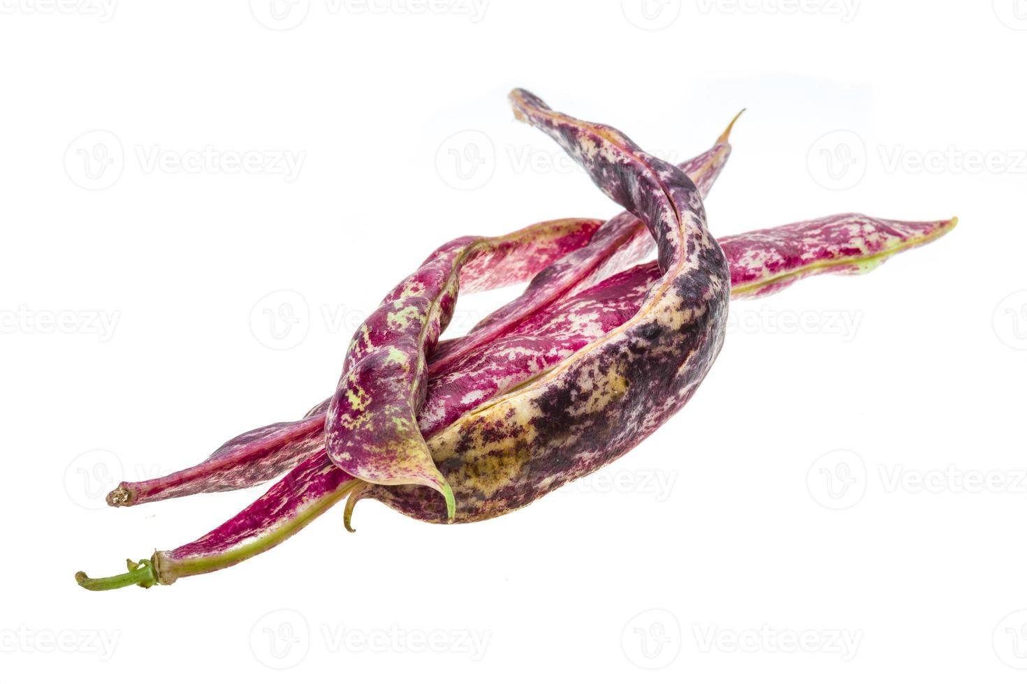 Red bean pod photo