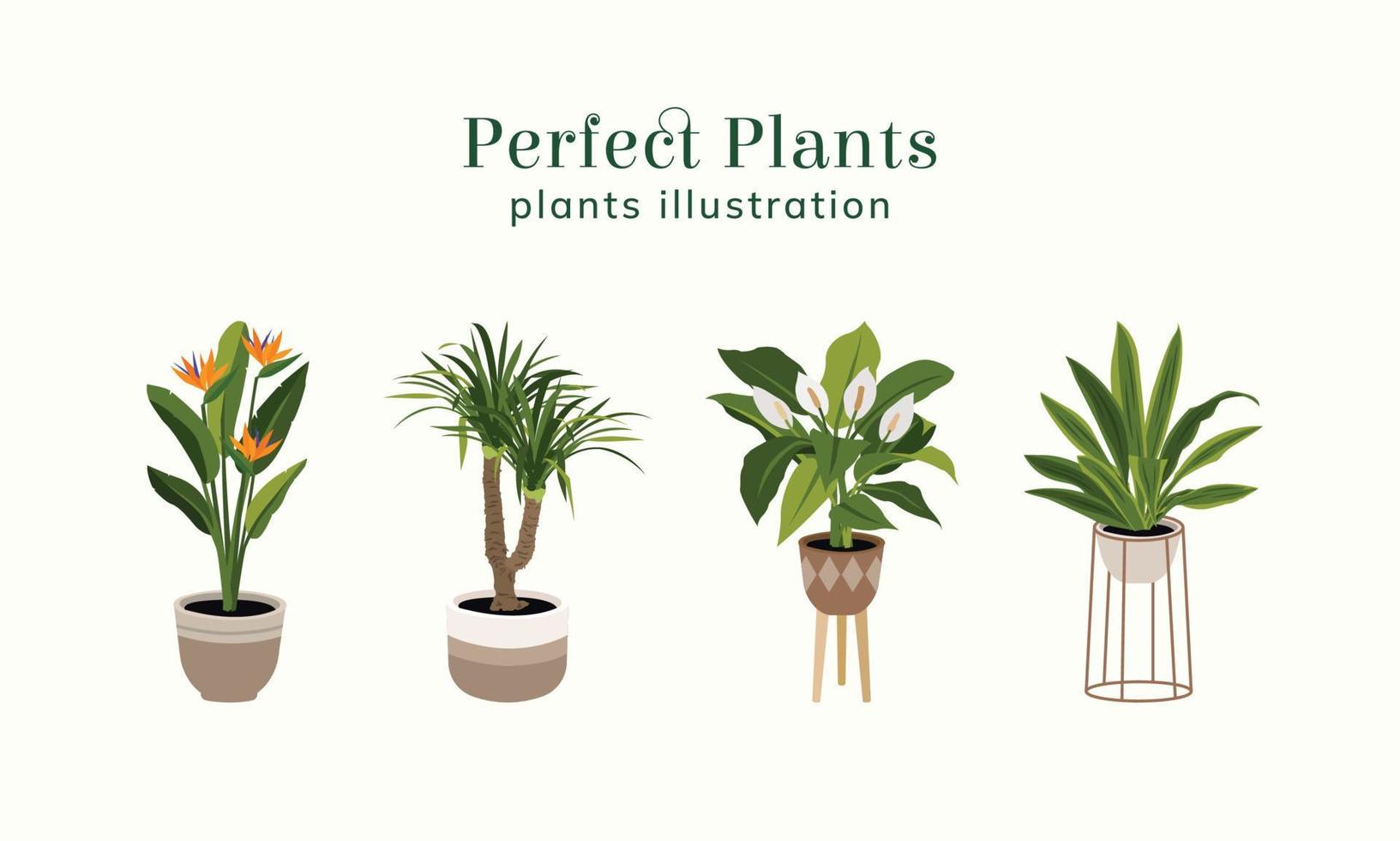 Perfect Plants illustration vector