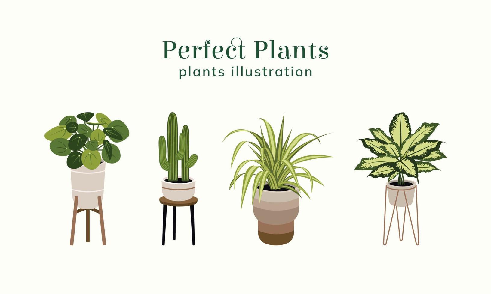 ilustración de plantas perfectas vector