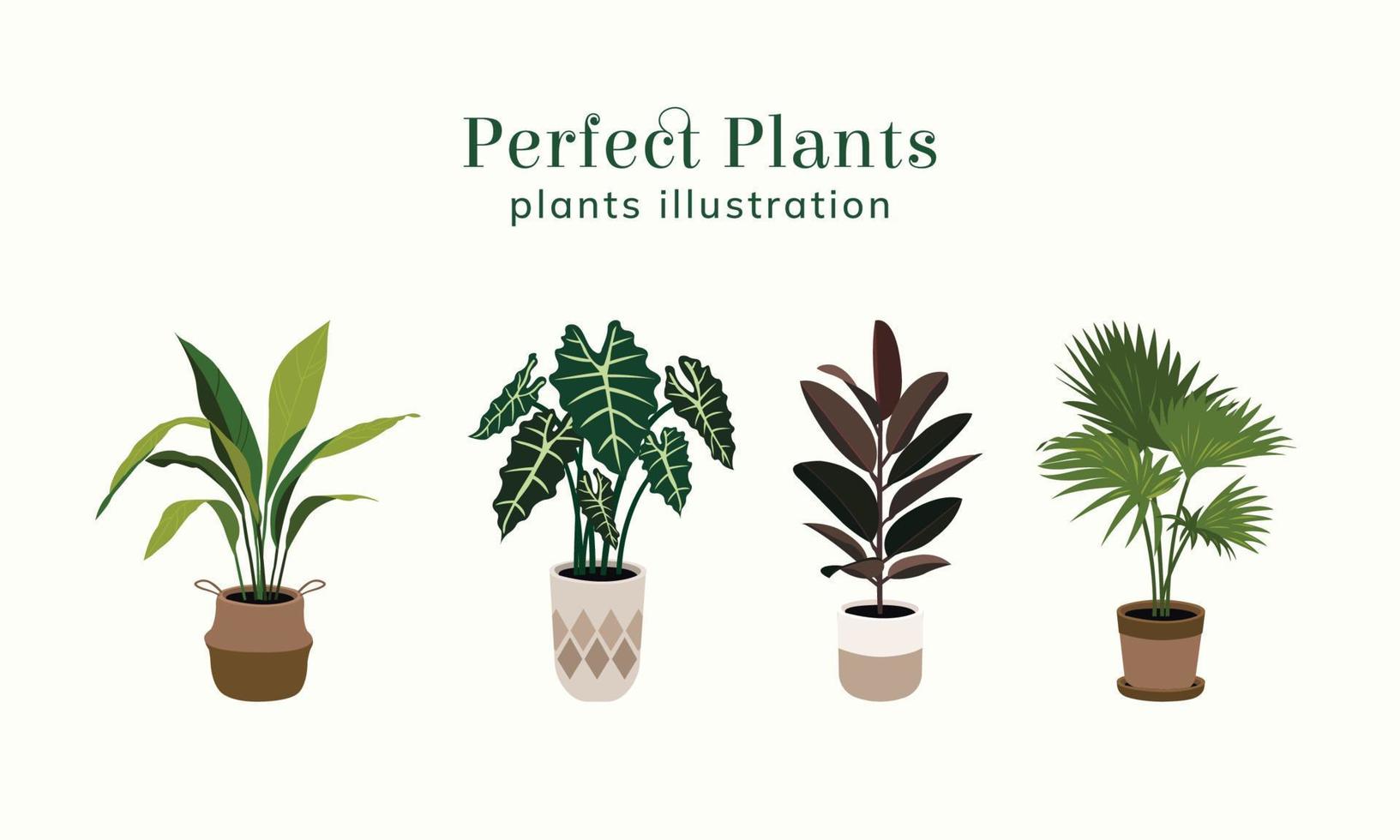 Perfect Plants illustration vector