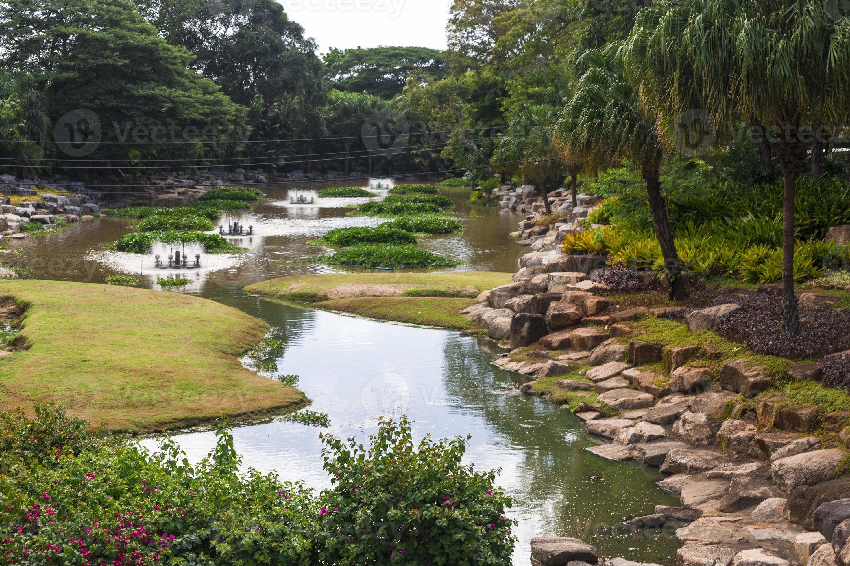 Nong Nooch tropical garden 12273404 Stock Photo at Vecteezy
