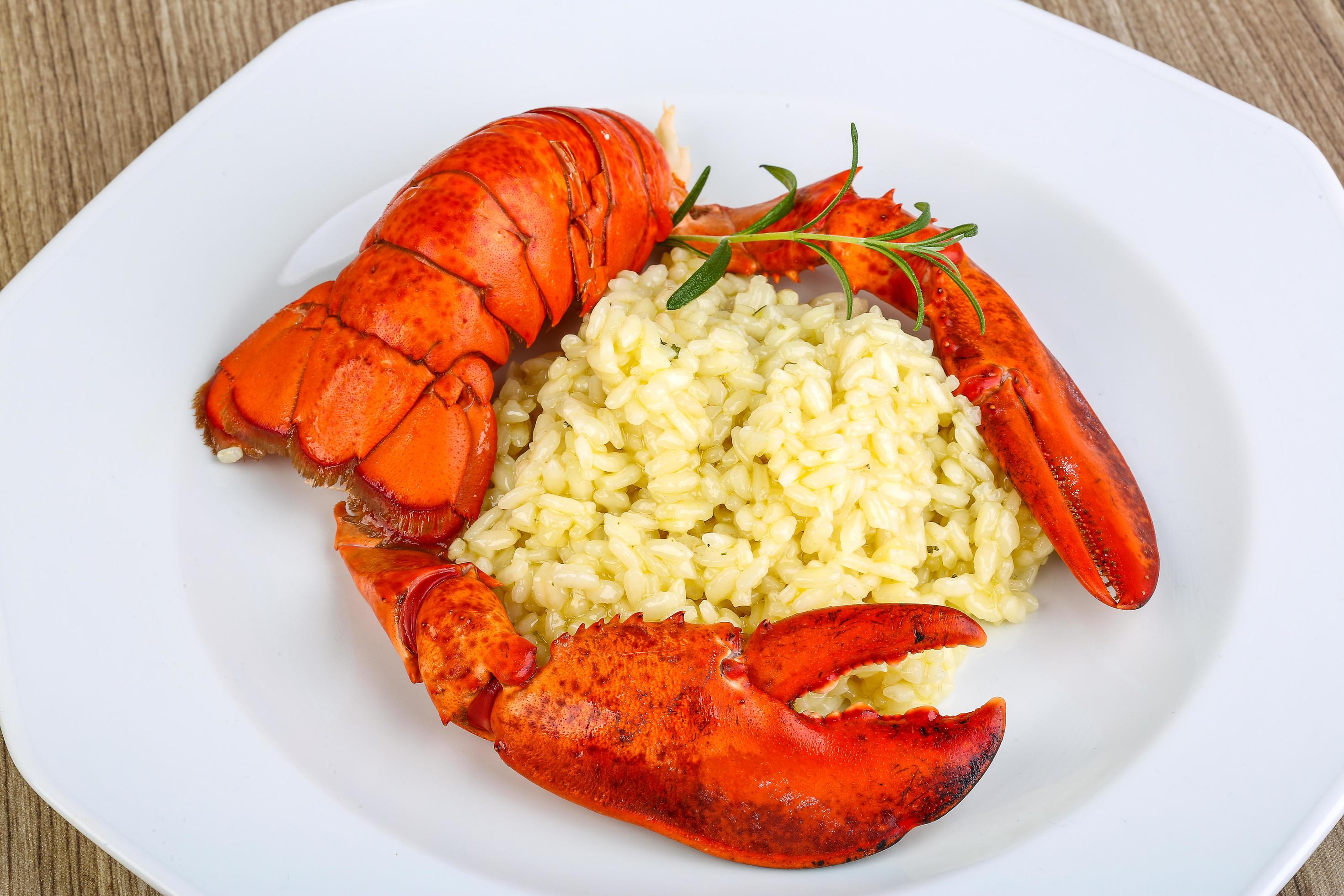 Risotto with lobster 12273825 Stock Photo at Vecteezy