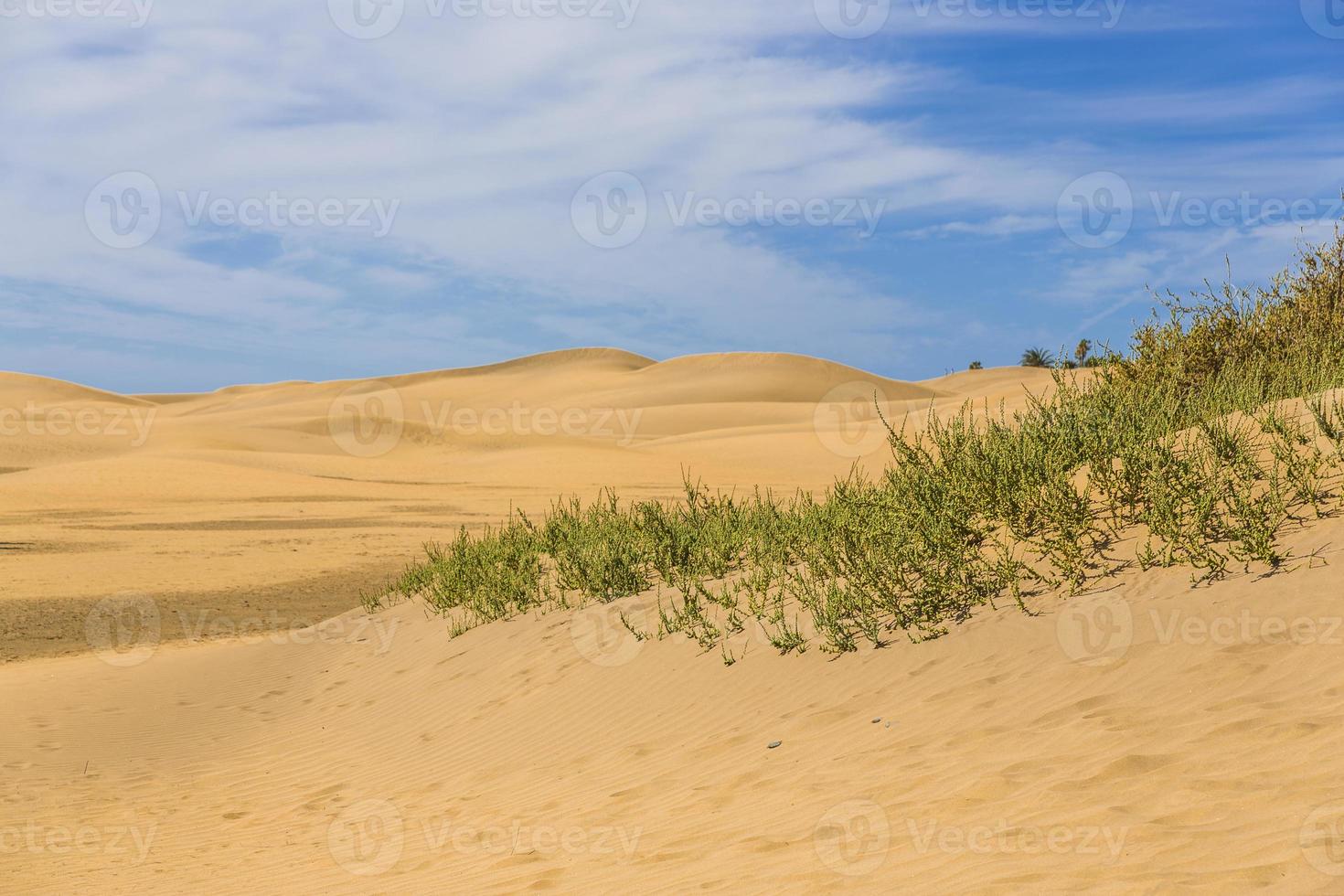 Maspalomas Duna - Desert in Canary island Gran Canaria photo