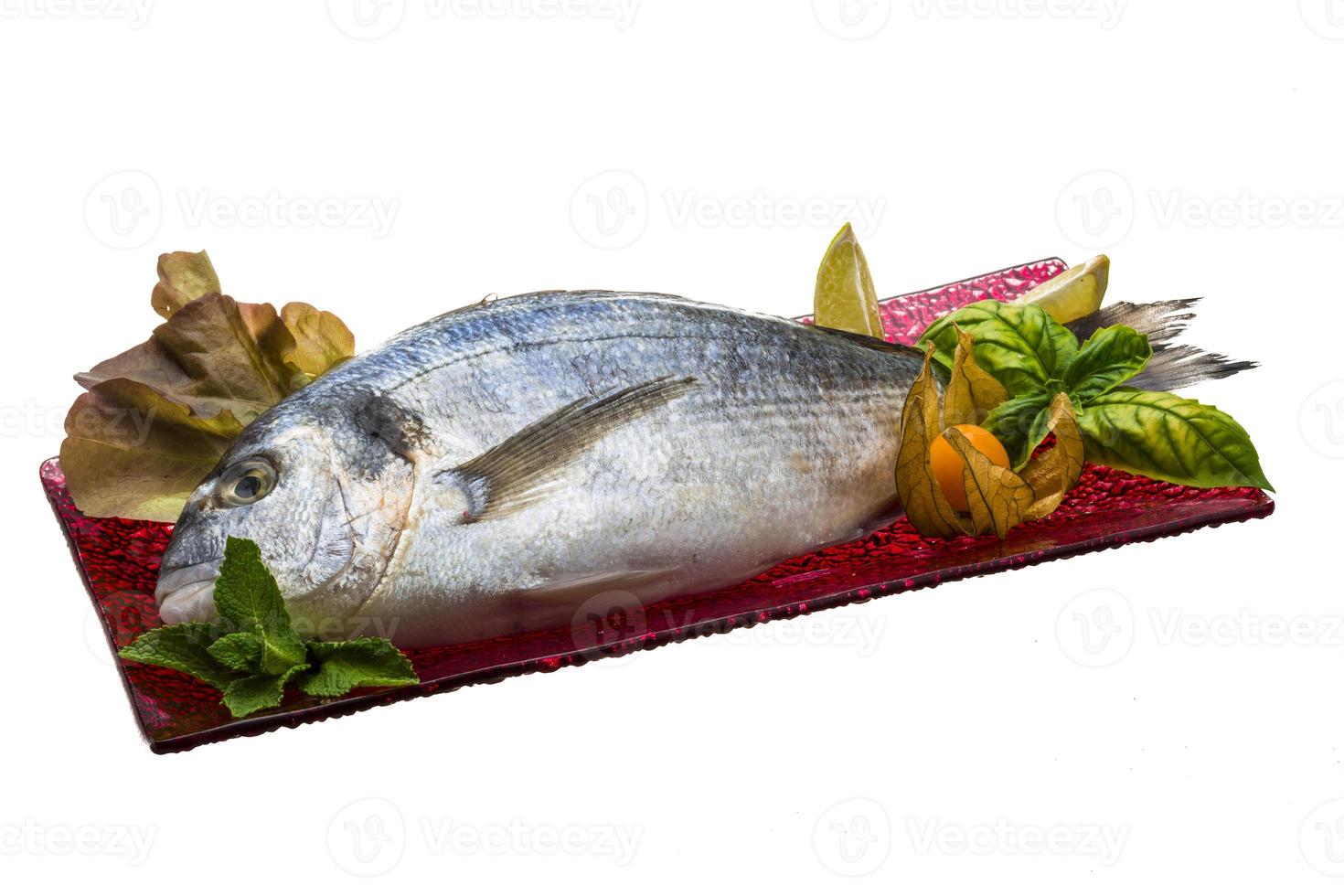 Fresh raw dorada photo