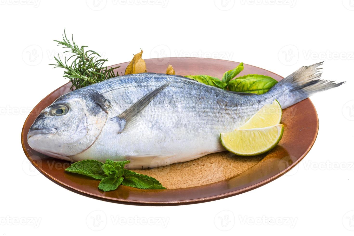 Fresh raw dorada photo