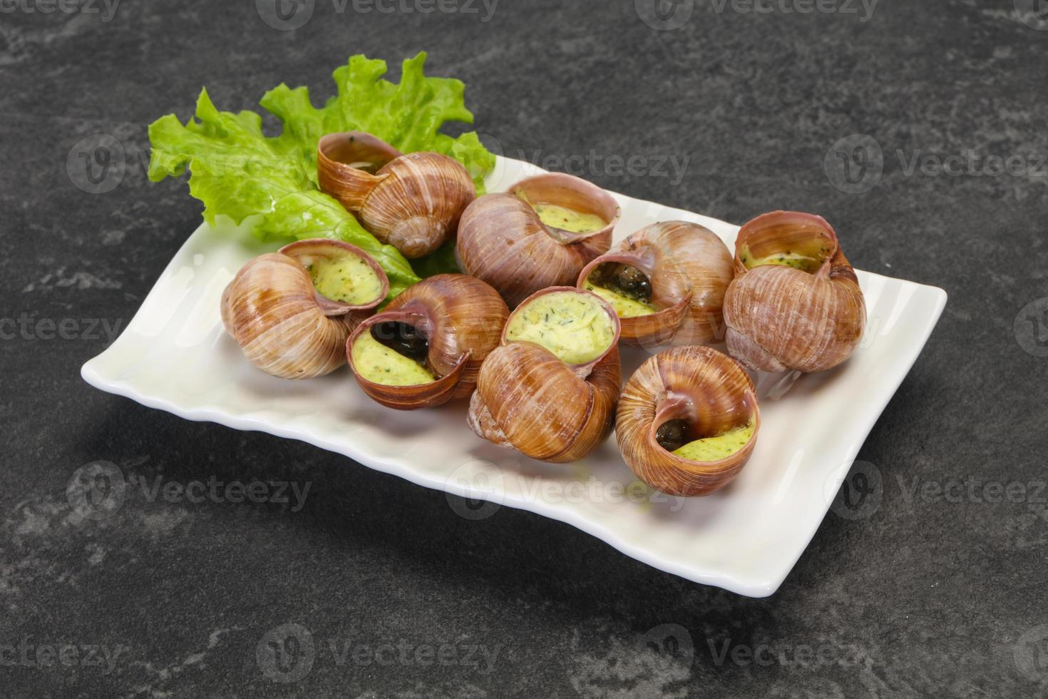 Escargots de Bourgogne- snails stuffed with herbs and oil. An exquisite  French dish of fried snails. 16696451 Stock Photo at Vecteezy