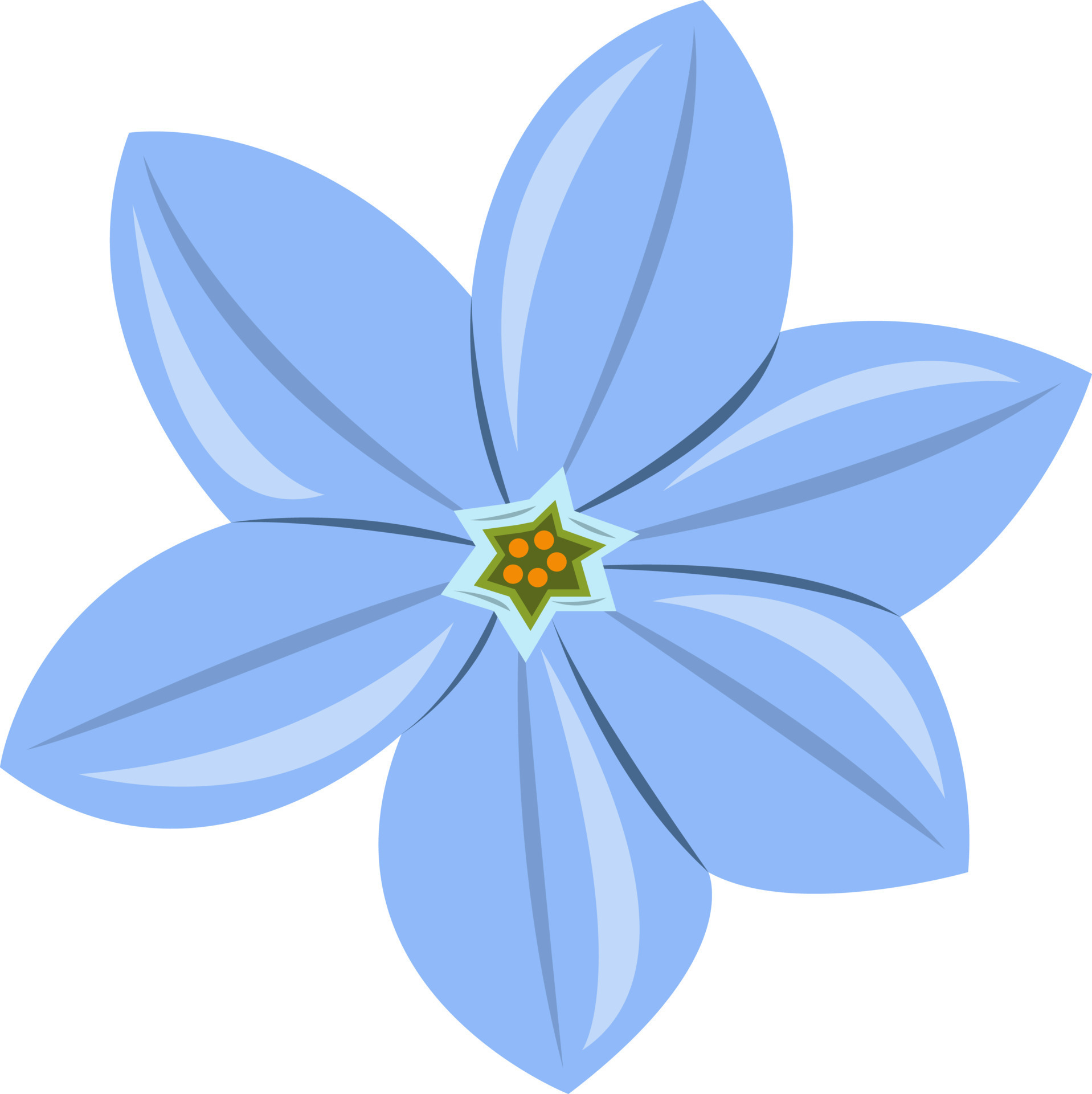 Blue Forget-me-not Flowers. Vector Illustration. Stock Vector -  Illustration of element, decorative: 54473783