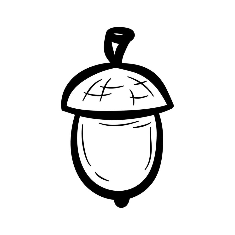 Hand drawn acorn.  Stylized oaknut, design element in doodle style.  Flat vector illustration.
