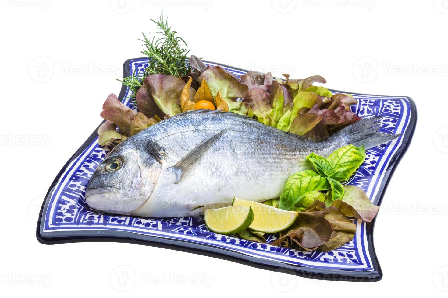 Fresh raw dorada photo