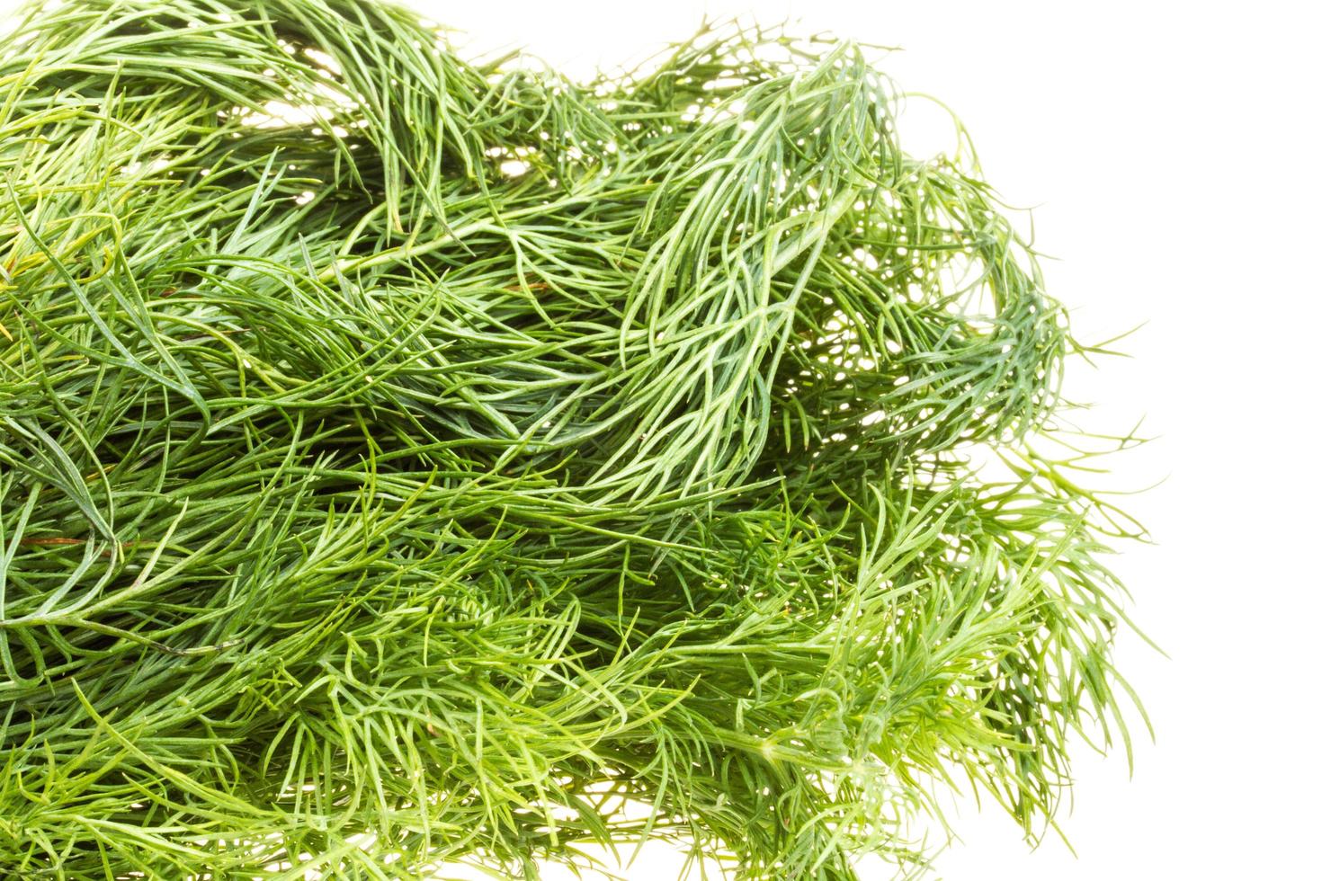 Fresh branches of green dill isolated on white background. photo