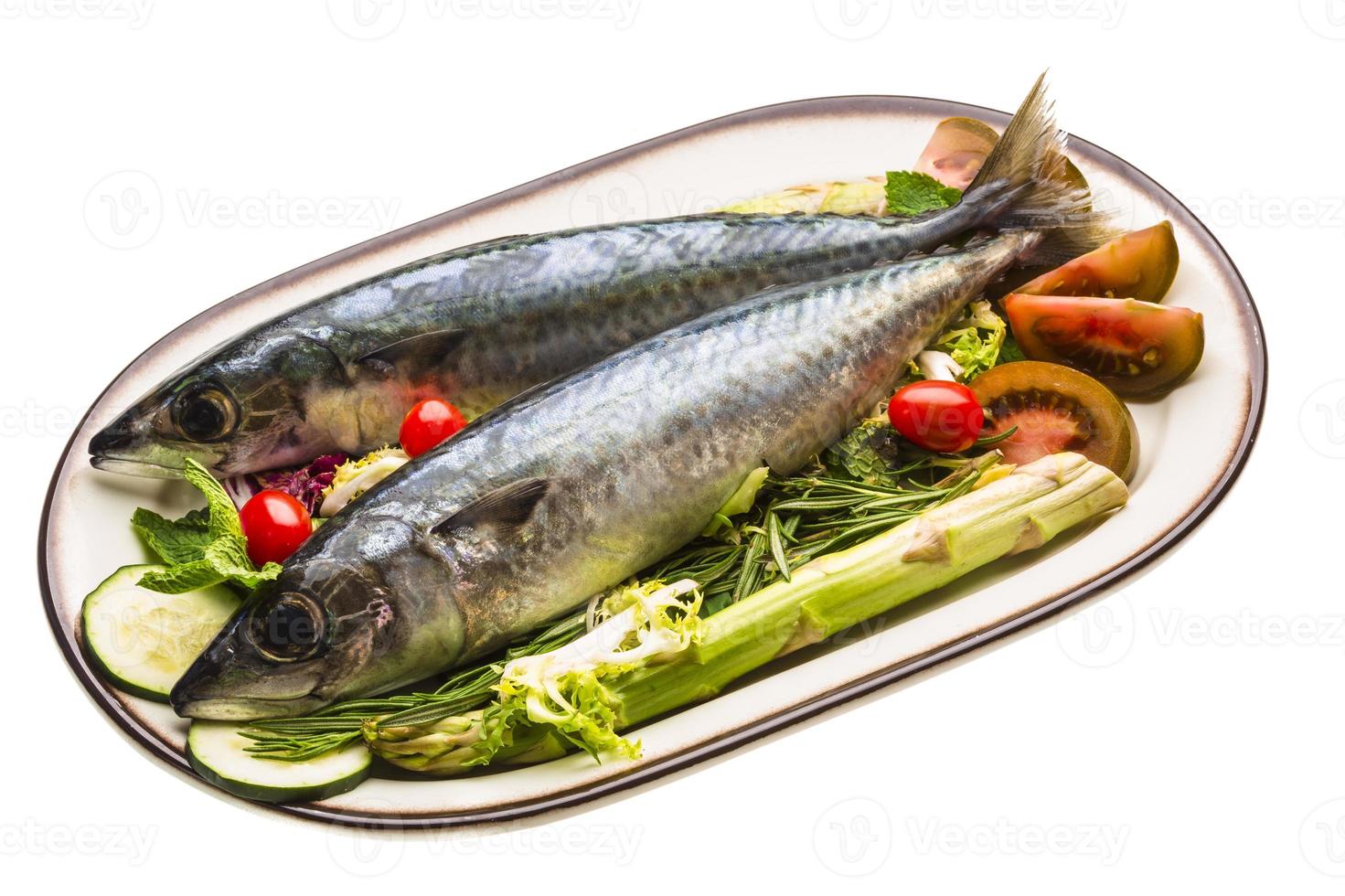 sardina atlántica cruda foto
