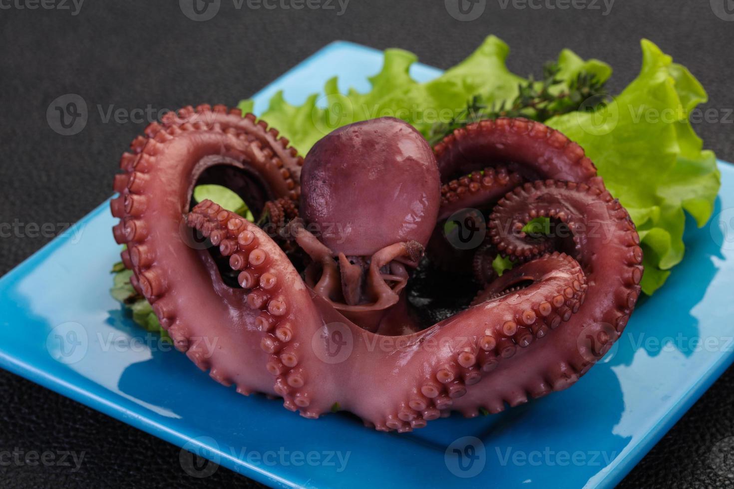 pulpo hervido con hierbas foto