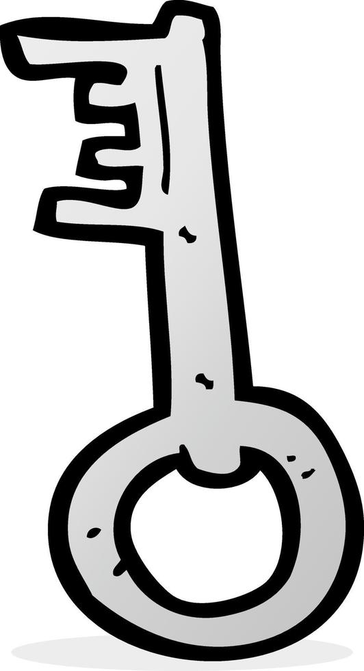cartoon old key vector